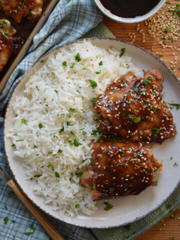 Chicken thighs on a plate with white fluffy rice.